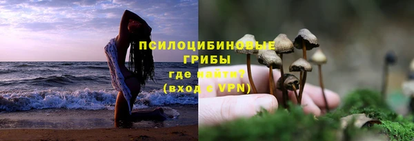 эйфоретик Михайловск
