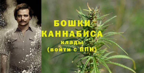 ПСИЛОЦИБИНОВЫЕ ГРИБЫ Михайловка