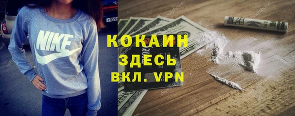 ПСИЛОЦИБИНОВЫЕ ГРИБЫ Михайловка