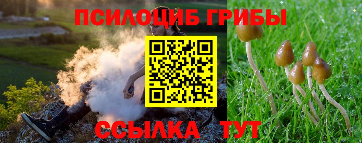 дарнет шоп  Киреевск  Галлюциногенные грибы MAGIC MUSHROOMS 