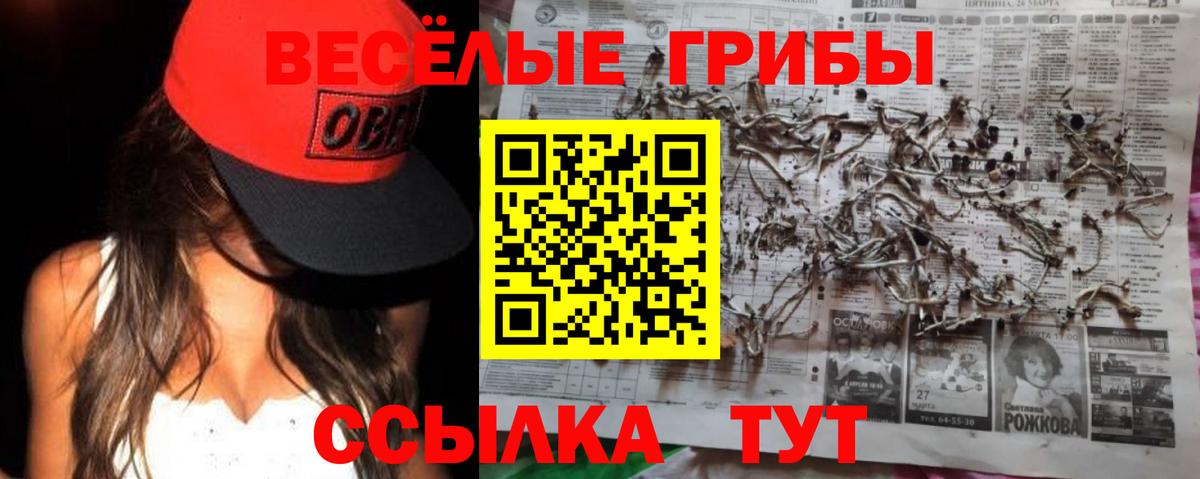 Псилоцибиновые грибы Psilocybe Киреевск
