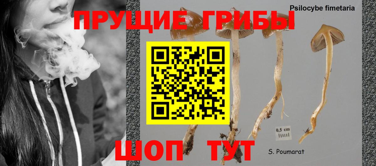 Галлюциногенные грибы GOLDEN TEACHER  Вход с VPN  Киреевск 